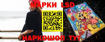 стафф Будённовск