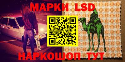 стафф Будённовск