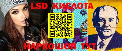 стафф Будённовск