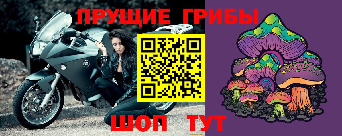 Рассказово  Псилоцибиновые грибы Psilocybe  Вход с VPN 